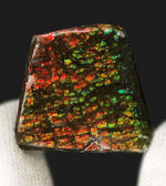 小型ながら素晴らしい輝き！ドラゴンスキン！カナダ・アルバータ州産の宝石、アンモライト（Ammolite）