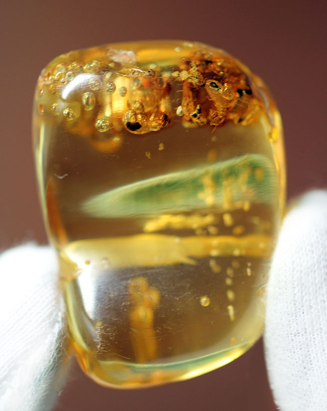 珍しいコロンビア産!多数の虫を内包したコーパル(Copal)。透明度が異様に高い!(その15)