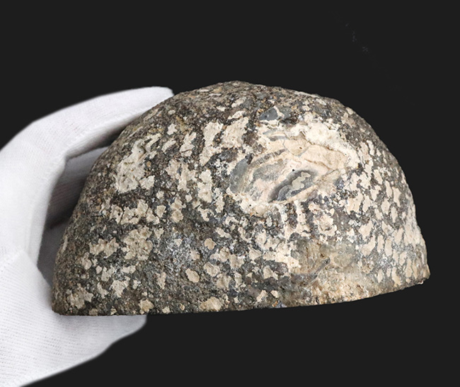 硬い火山岩でできたヘルメット!迫力あり、1キロオーバー!ブラジル産の石英結晶、ジオード(その6)