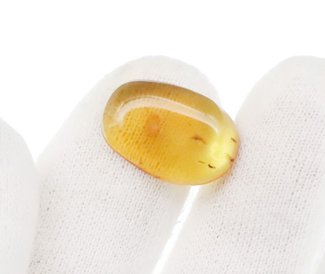 透明度抜群！白亜紀の虫を封じ込めた、希少な恐竜時代の琥珀「バーマイト（Burmite）」（その6）