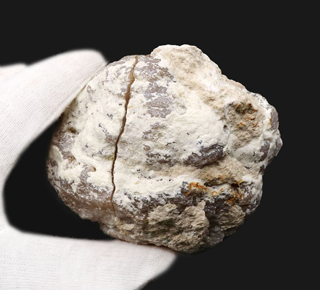 地下深くで形成された典型的なジオード（Geode）標本。開閉可能な蓋付きの魅惑的な天然岩石（その5）