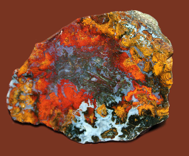 派手な色合いで人気のストロマトライトを含むハンガリー産のメノウ(Agate)(その1)