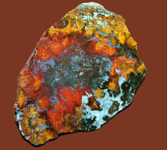 派手な色合いで人気のストロマトライトを含むハンガリー産のメノウ(Agate)(その11)