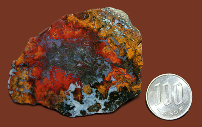 派手な色合いで人気のストロマトライトを含むハンガリー産のメノウ(Agate)(その12)