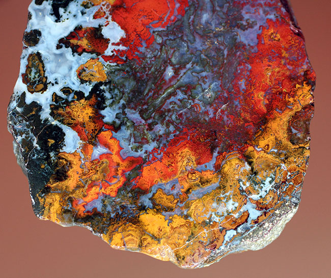 派手な色合いで人気のストロマトライトを含むハンガリー産のメノウ(Agate)(その5)