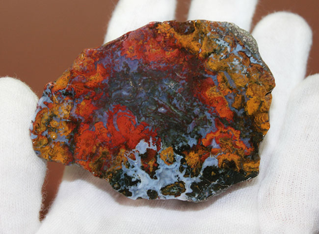 派手な色合いで人気のストロマトライトを含むハンガリー産のメノウ(Agate)(その6)