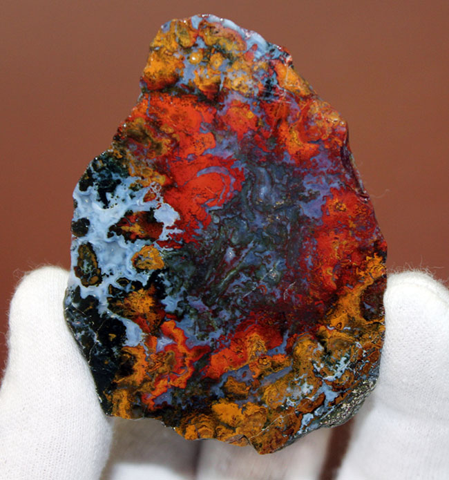 派手な色合いで人気のストロマトライトを含むハンガリー産のメノウ(Agate)(その9)