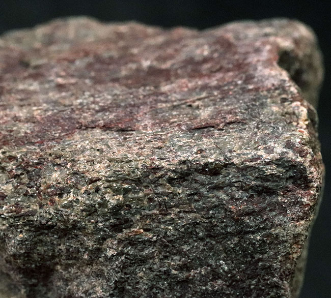 米国コロラド州産のジュラ紀の恐竜の骨の断片と見られる化石(その2)