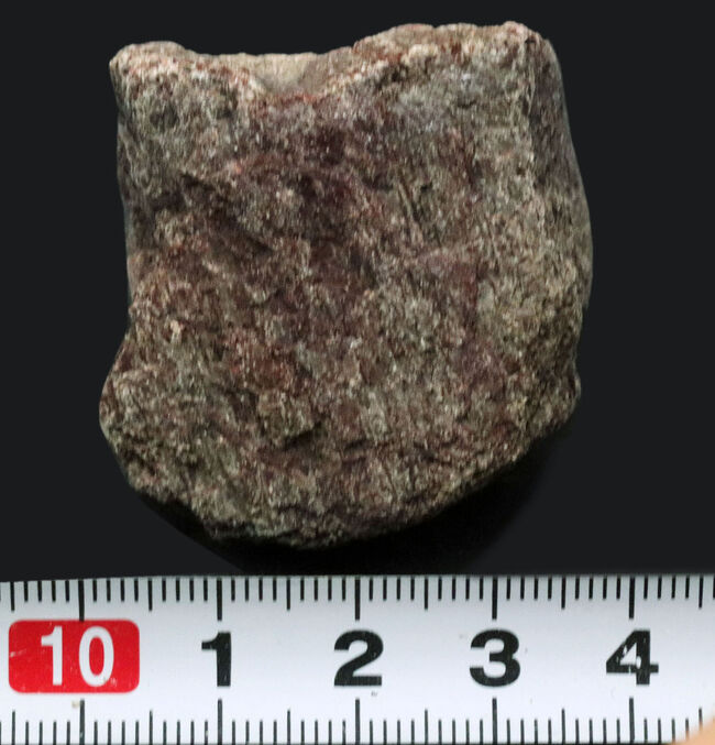 米国コロラド州産のジュラ紀の恐竜の骨の断片と見られる化石(その5)