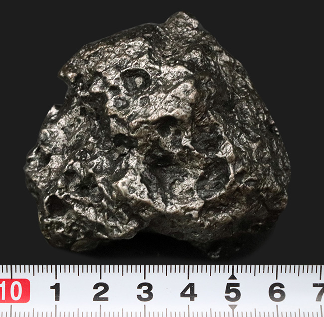 まれに見る美しいレグマグリップ、４５０グラムを超えるヘビー級の石体、世界的に有名な鉄隕石のシンボル的存在、カンポ・デル・シエロ（Campo del Cielo）の上質標本（その8）