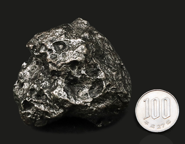 まれに見る美しいレグマグリップ、４５０グラムを超えるヘビー級の石体、世界的に有名な鉄隕石のシンボル的存在、カンポ・デル・シエロ（Campo del Cielo）の上質標本（その9）