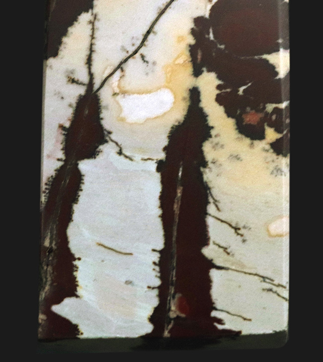 ナチュラルアート、樹枝結晶あり!画家が描いたような模様が美しい玉髄、ピクチャージャスパー(Jasper)(その4)