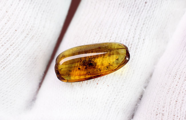 蜘蛛を内包した透明度の高いバルト海産の琥珀(Amber)(その5)