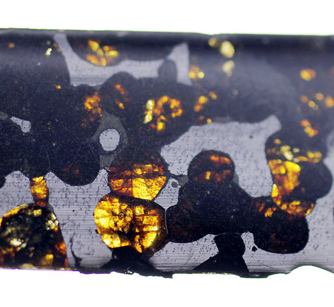 ２０１６年発見、ケニヤ・セリコ産のパラサイト隕石。世界で最も美しい隕石、パラサイト（本体に防錆処理が施された上に空気を遮断する専用保存ケース付）（その1）