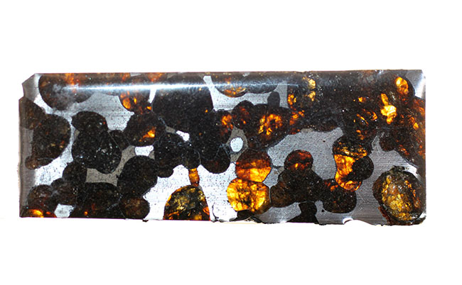 ２０１６年発見、ケニヤ・セリコ産のパラサイト隕石。世界で最も美しい隕石、パラサイト（本体に防錆処理が施された上に空気を遮断する専用保存ケース付）（その3）