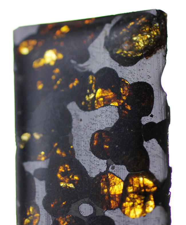 ２０１６年発見、ケニヤ・セリコ産のパラサイト隕石。世界で最も美しい隕石、パラサイト（本体に防錆処理が施された上に空気を遮断する専用保存ケース付）（その5）