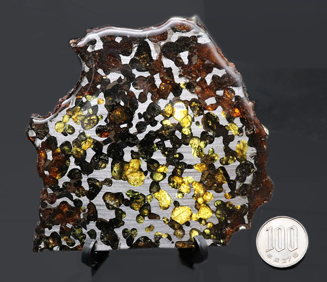 ビッグサイズ！煌々と輝くカンラン石が保存されたケニヤ産パラサイト隕石（本体防錆処理済み）。世界で最も美しい隕石と評される美しきパラサイト隕石（その10）