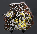 ビッグサイズ！煌々と輝くカンラン石が保存されたケニヤ産パラサイト隕石（本体防錆処理済み）。世界で最も美しい隕石と評される美しきパラサイト隕石