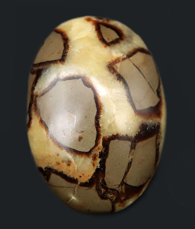 その生成過程に諸説あり、謎多き、そして美しき鉱物、イエローセプタリアン(Yellow septarian)のハンドポリッシュ標本(その1)