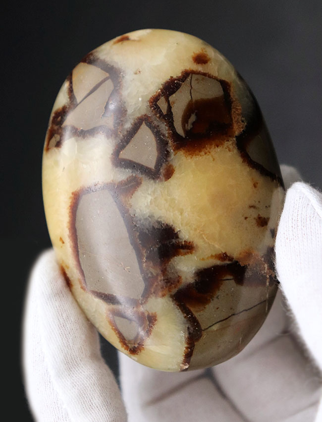 その生成過程に諸説あり、謎多き、そして美しき鉱物、イエローセプタリアン(Yellow septarian)のハンドポリッシュ標本(その2)