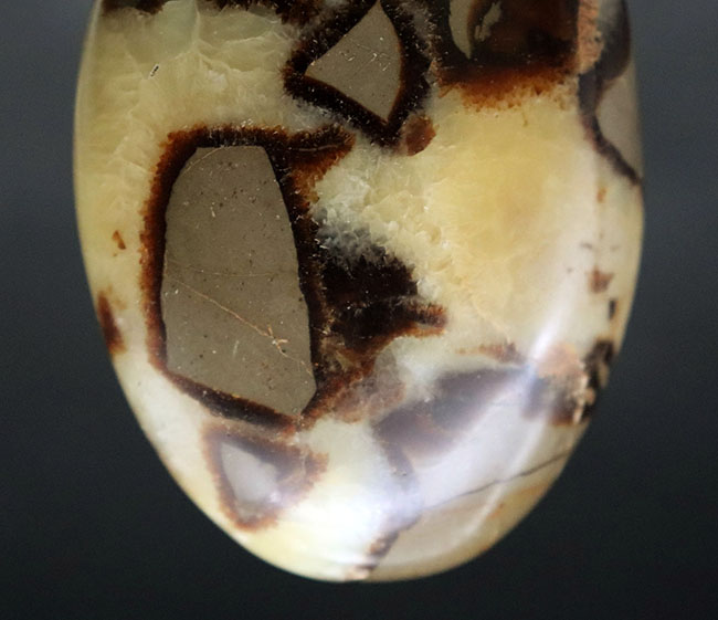 その生成過程に諸説あり、謎多き、そして美しき鉱物、イエローセプタリアン(Yellow septarian)のハンドポリッシュ標本(その5)