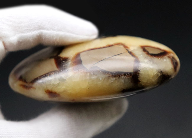 その生成過程に諸説あり、謎多き、そして美しき鉱物、イエローセプタリアン(Yellow septarian)のハンドポリッシュ標本(その8)