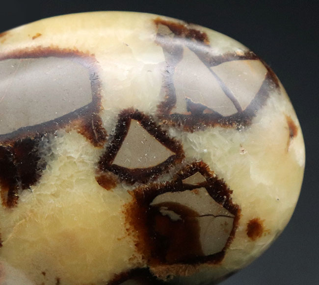 その生成過程に諸説あり、謎多き、そして美しき鉱物、イエローセプタリアン(Yellow septarian)のハンドポリッシュ標本(その9)