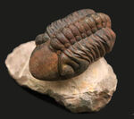 お客様の声　写真