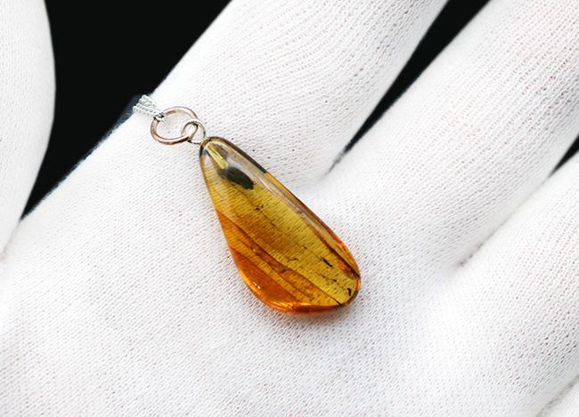 ラインが美しい！虫を内包したバルト海産琥珀（Amber）ペンダントトップ（シルバーチェーン、高級ジュエリーケース付き）（その4）