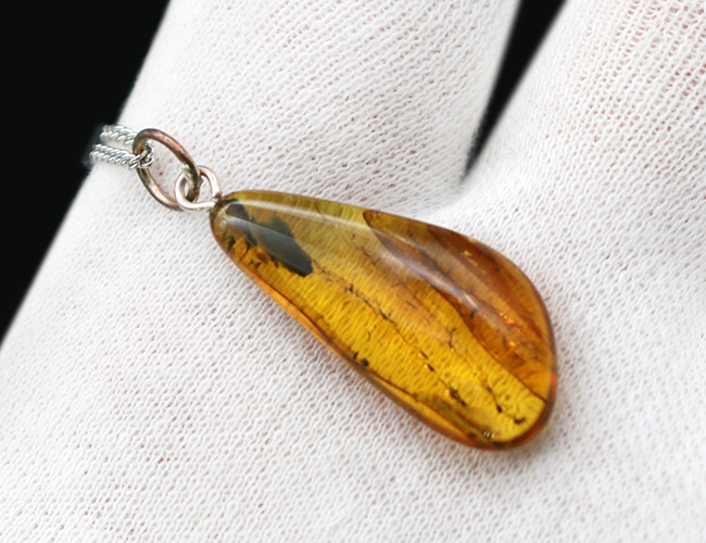 ラインが美しい！虫を内包したバルト海産琥珀（Amber）ペンダントトップ（シルバーチェーン、高級ジュエリーケース付き）（その7）