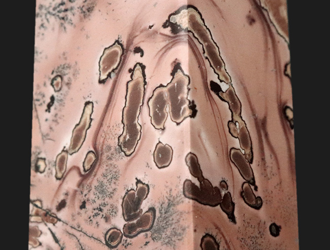 自然は偉大なアーティスト！絵画のような模様が見られる不思議で美しい