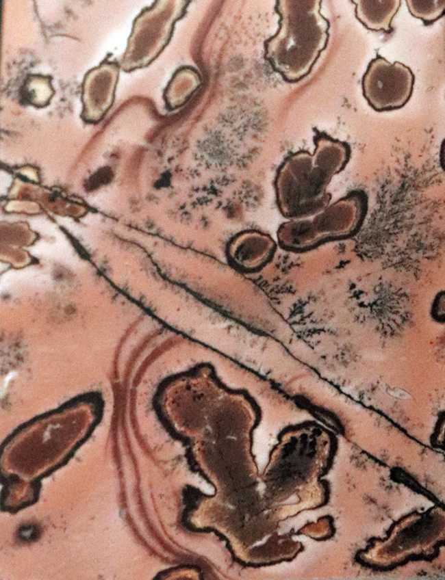 自然は偉大なアーティスト！絵画のような模様が見られる不思議で美しい