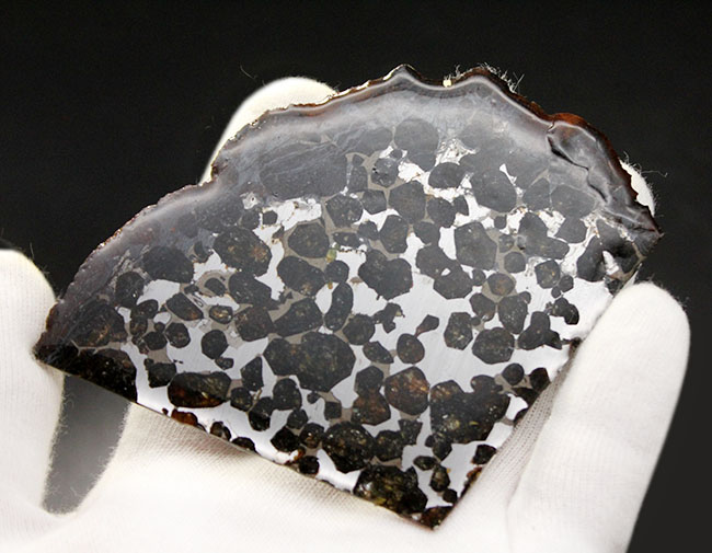 フレッシュなかんらん石が美しい、そしてデカい！！手のひらサイズの大判。ケニヤ産のパラサイト隕石（本体防錆処理済み）。 隕石 販売