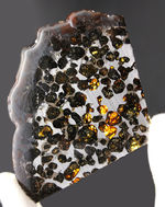 フレッシュなかんらん石が美しい、そしてデカい！！手のひらサイズの大判。ケニヤ産のパラサイト隕石（本体防錆処理済み）。
