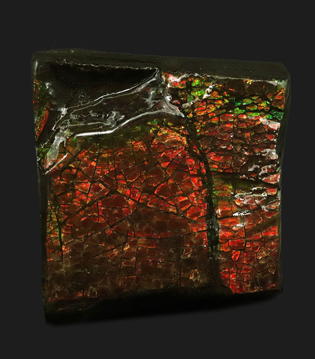 竜のうろこ模様が見られる、濃く美しい朱を呈するアンモライト(Ammolite)のピース(その1)