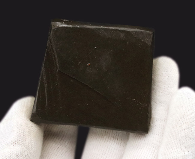 竜のうろこ模様が見られる、濃く美しい朱を呈するアンモライト(Ammolite)のピース(その6)