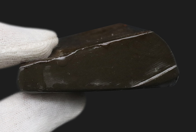 竜のうろこ模様が見られる、濃く美しい朱を呈するアンモライト(Ammolite)のピース(その7)