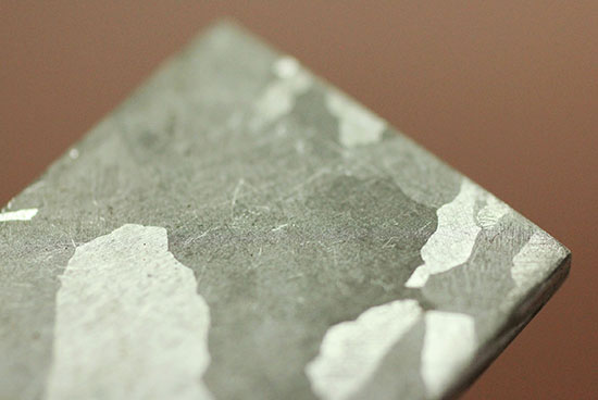 博物館クオリティ！生粋の鉄隕石のスライス標本！オーストラリア産マウントデューリング（その10）