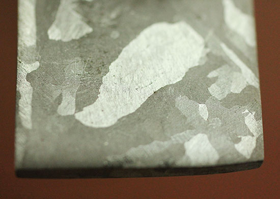 博物館クオリティ！生粋の鉄隕石のスライス標本！オーストラリア産マウントデューリング（その13）