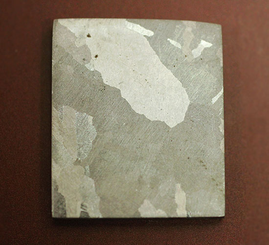 博物館クオリティ！生粋の鉄隕石のスライス標本！オーストラリア産マウントデューリング/新生代（6500万年前 -- 現在）【ot1107】