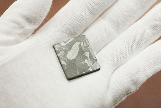 博物館クオリティ！生粋の鉄隕石のスライス標本！オーストラリア産マウントデューリング（その3）