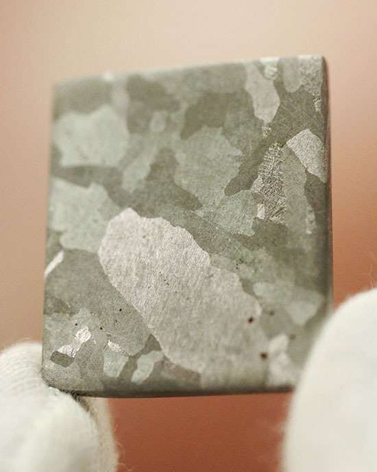 博物館クオリティ！生粋の鉄隕石のスライス標本！オーストラリア産マウントデューリング（その5）