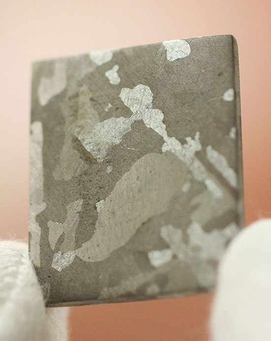 博物館クオリティ！生粋の鉄隕石のスライス標本！オーストラリア産マウントデューリング（その6）