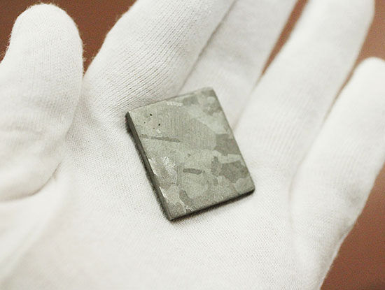 博物館クオリティ！生粋の鉄隕石のスライス標本！オーストラリア産マウントデューリング（その7）