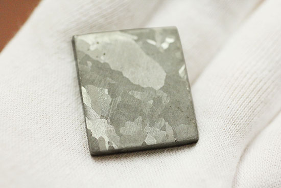 博物館クオリティ！生粋の鉄隕石のスライス標本！オーストラリア産マウントデューリング（その8）