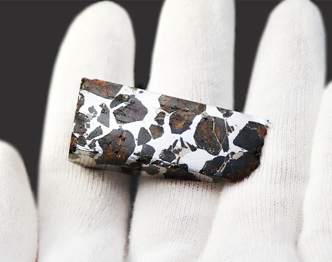 極厚タイプ！はるか彼方より飛来した人智を超えた存在、石鉄隕石