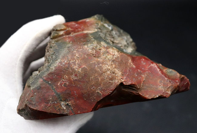ビッグ!赤、橙、グレイッシュブルー、緑など様々な色を呈するハンガリー産の大型メノウ(Agate)(その7)