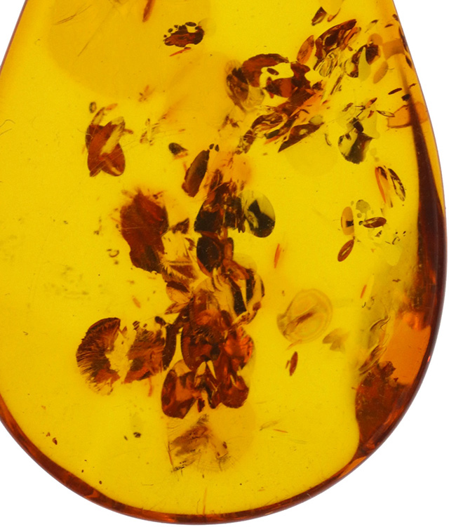 ポーランド産！古来より王侯貴族に愛された、最古の宝石の一つ、バルティックアンバーのティアドロップ標本（Amber）（その2）