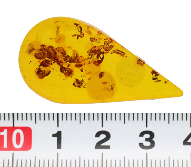 ポーランド産！古来より王侯貴族に愛された、最古の宝石の一つ、バルティックアンバーのティアドロップ標本（Amber）（その4）