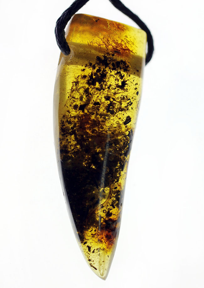 古代の泡、植物片が内包されています！名産地のバルト海産、琥珀のペンダント（黒紐付き）（その1）